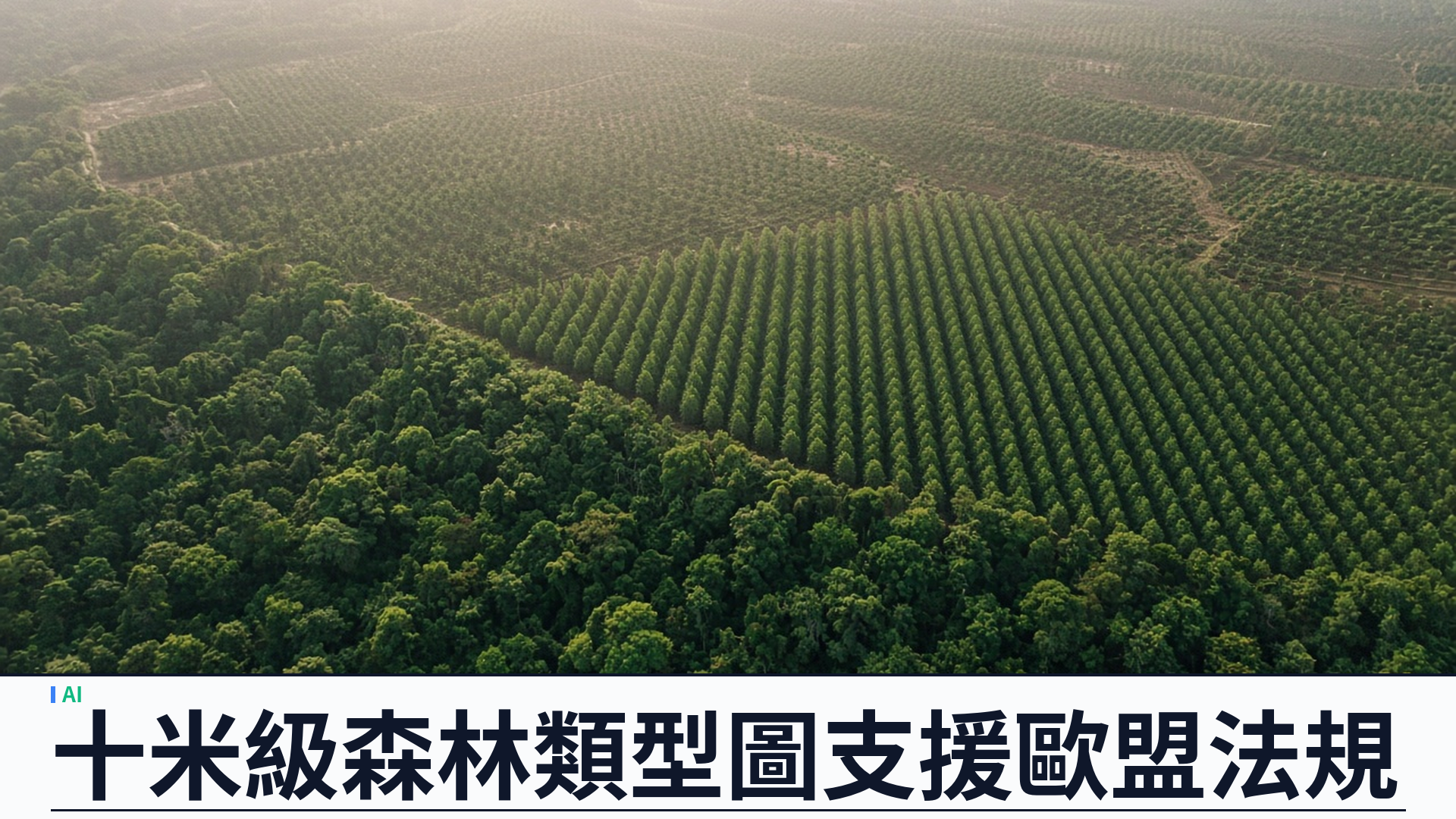 DeepMind／官方：發布全球森林類型圖 ForTy——十米解析度六類；驗證約九成；支援歐盟零毀林法規基線